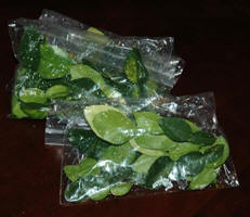 Kaffir lime leaves package